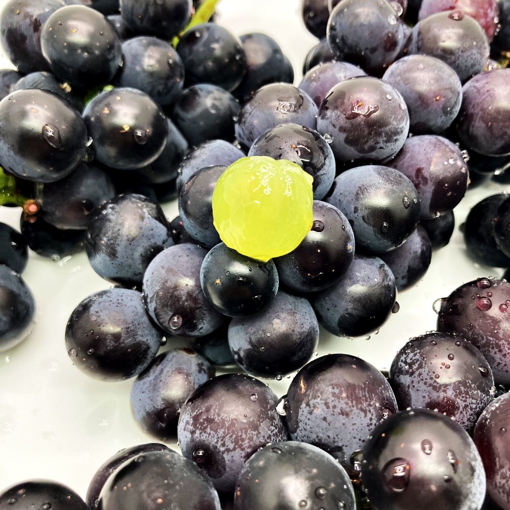 상주 모동 모서 경산 김천 영동 캠벨포도 켐벨포도 1kg 2kg 3kg