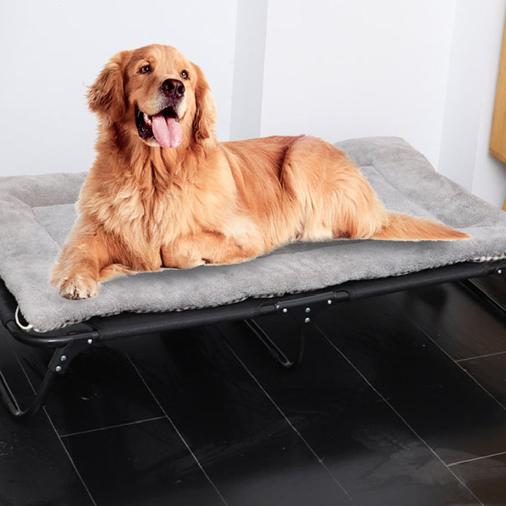 개과천선 시원한 사계절 접이식 휴대용 빅 강아지 해먹 애견 캠핑 의자 쇼파 야전 침대