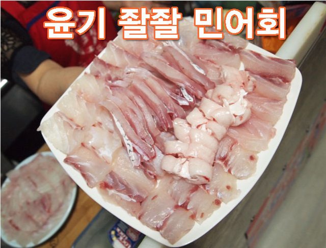 큰민어 10kg 8kg 6kg 한마리 자연산 목포 민어회 필렛 (손질포함) 민어탕 부레 - 상세 이미지 4