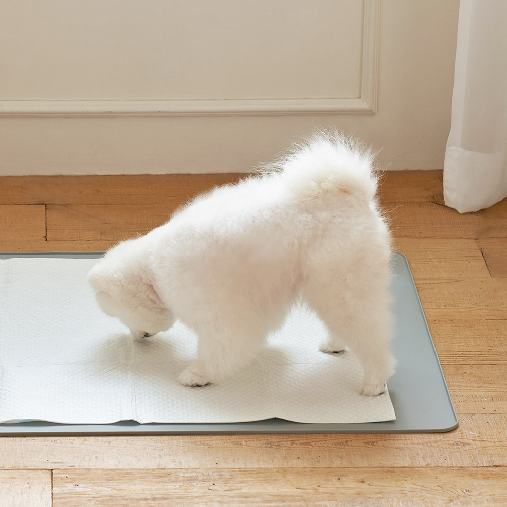 울리 엣지 실리콘 배변 매트 국내생산 강아지 배변판 55 이미지 2