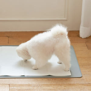 울리 엣지 실리콘 배변 매트 국내생산 강아지 배변판 55 솔직 후기 | 실제 사용자 리뷰 총정리 - 상품 이미지 2