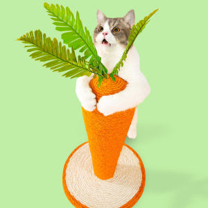 리치독스 고양이 스크래쳐 수직 기둥 당근 소형 고양이타워 솔직 후기 | 실제 사용자 리뷰 총정리 - 상품 이미지 1