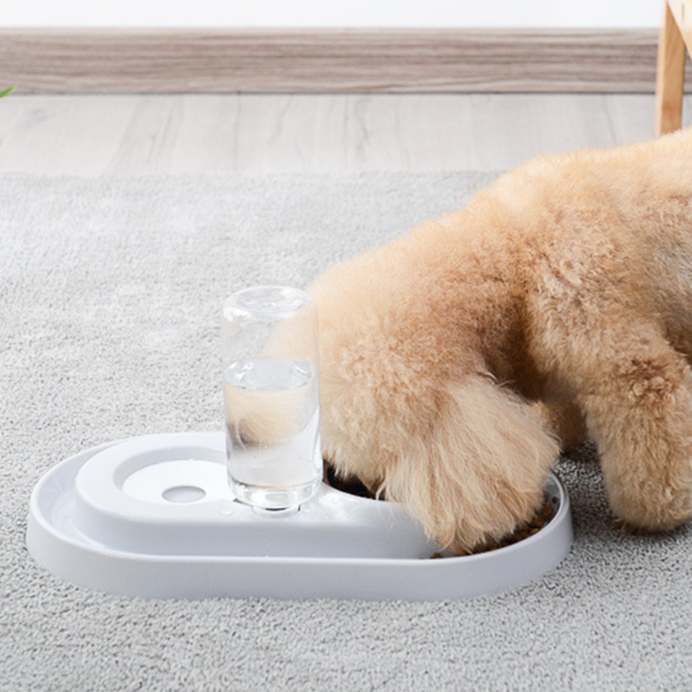 개과천선 클린 급수 스텐 식기 강아지밥그릇 고양이물그릇 애견 식기 개 2구