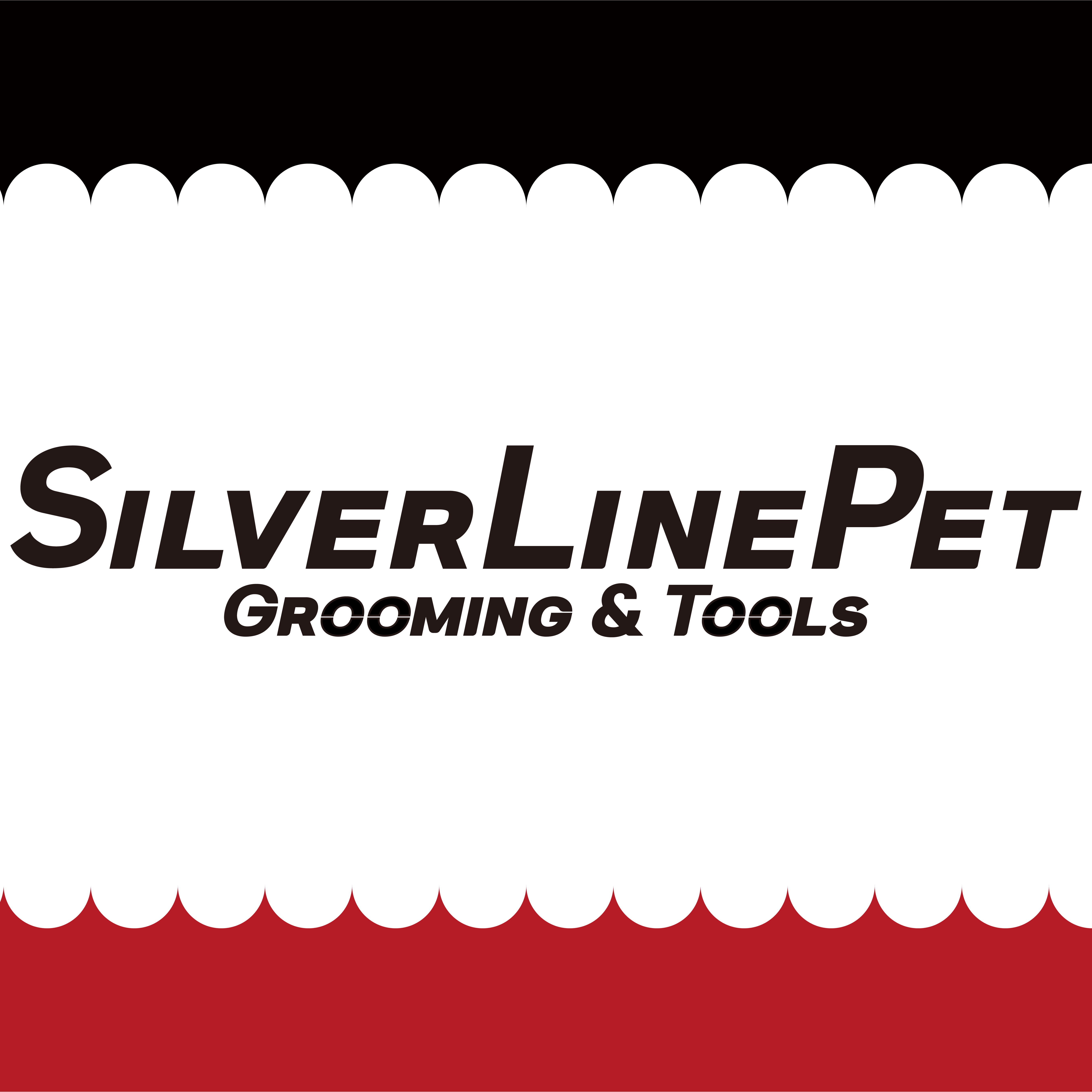 실버 라인 스토어 로고