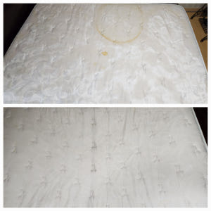 침대 매트리스 청소 건식 습식 케어 세척 세탁 빈대 진드기 얼룩제거 업체 솔직 후기 | 실사용자 리뷰 분석 - 상품 이미지 3