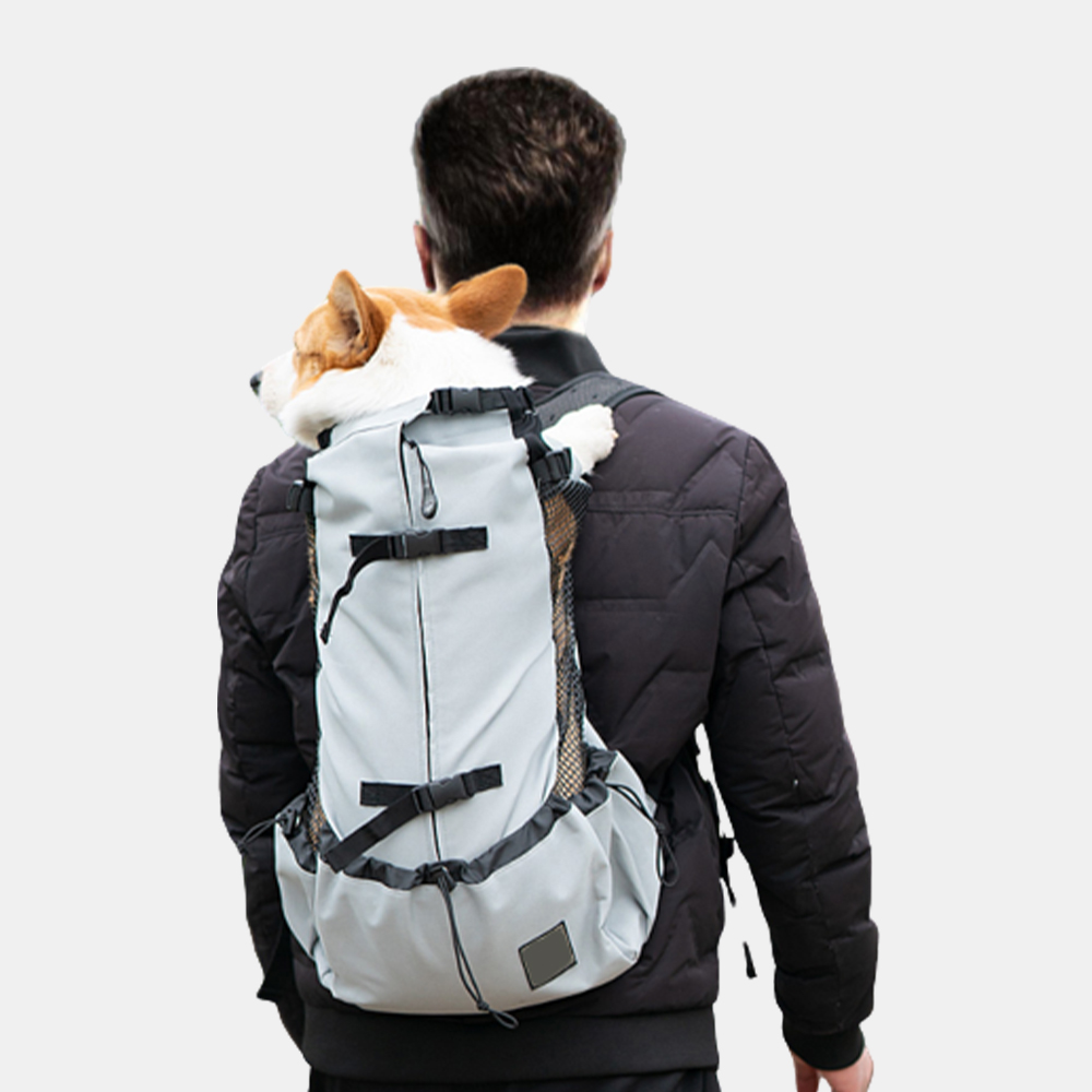 개과천선 D 라이더 애견 배낭 백팩 강아지 캐리어 슬링백 이동장 강아지 외출용품 그레이