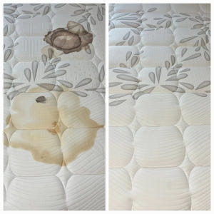 침대 매트리스 청소 건식 습식 케어 세척 세탁 빈대 진드기 얼룩제거 업체 솔직 후기 | 실사용자 리뷰 분석 - 상품 이미지 4