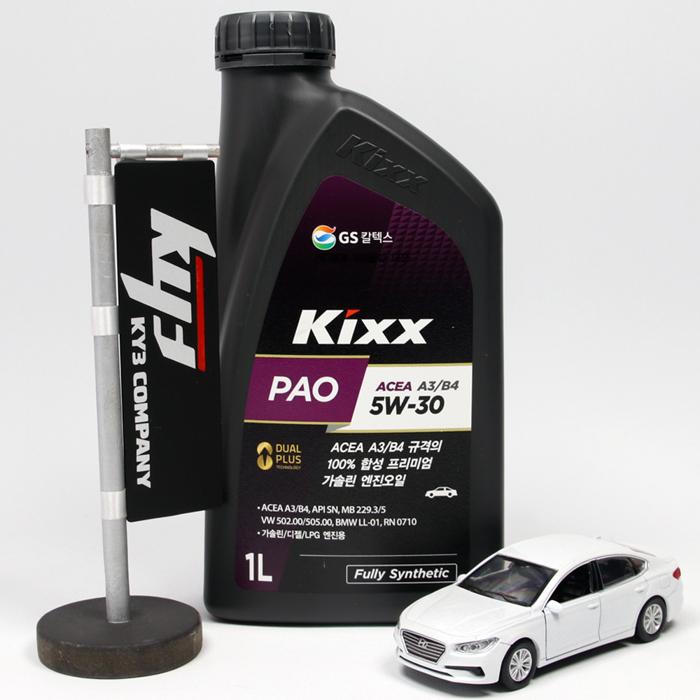NEW KIXX PAO 킥스 파오 A3 B4 5W30 1L