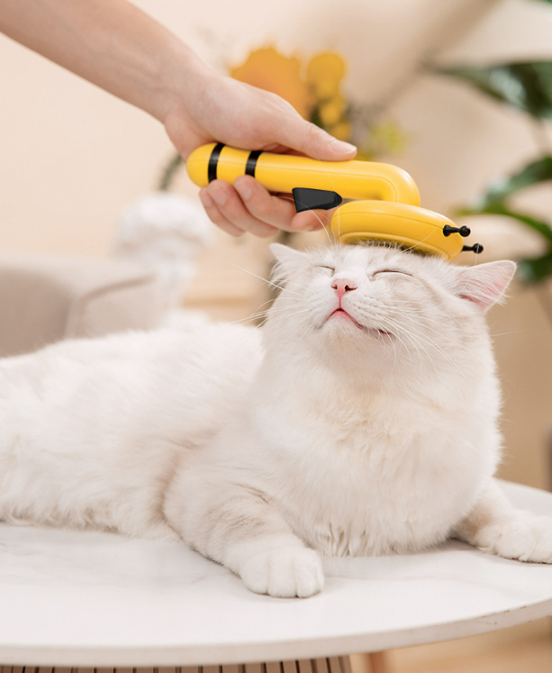 강아지빗 고양이빗 브러쉬 슬리커