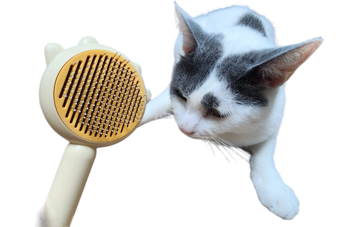 강아지빗 고양이빗 브러쉬 슬리커