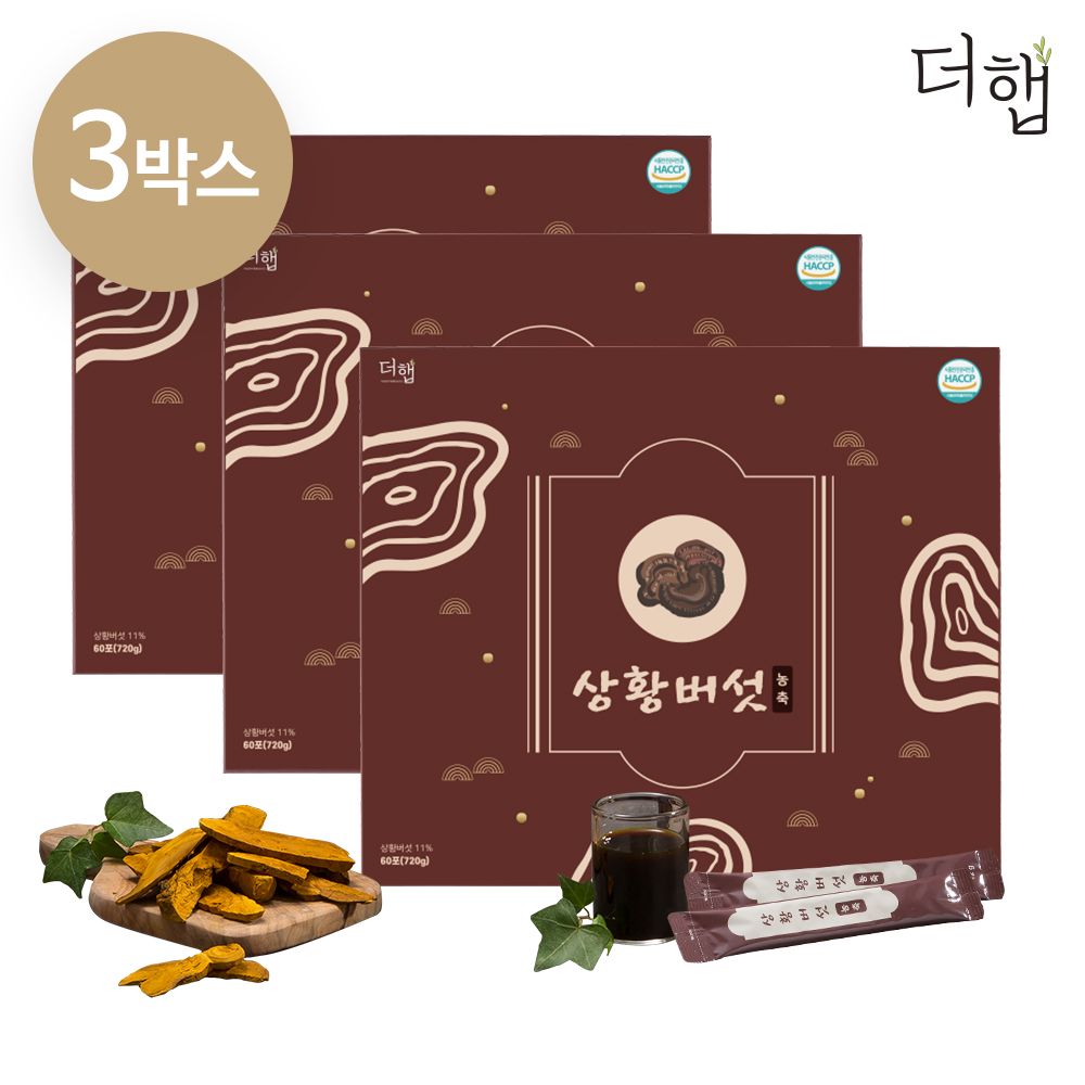 3번 우려낸 더햅 국내산 장수 상황버섯 진액 액기스 엑기스 농축 60포, 3개 - 메인 이미지