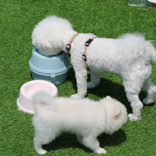 강아지 밥그릇 물그릇 도시락1p 대형견 고양이 수반 - 상세 이미지 4