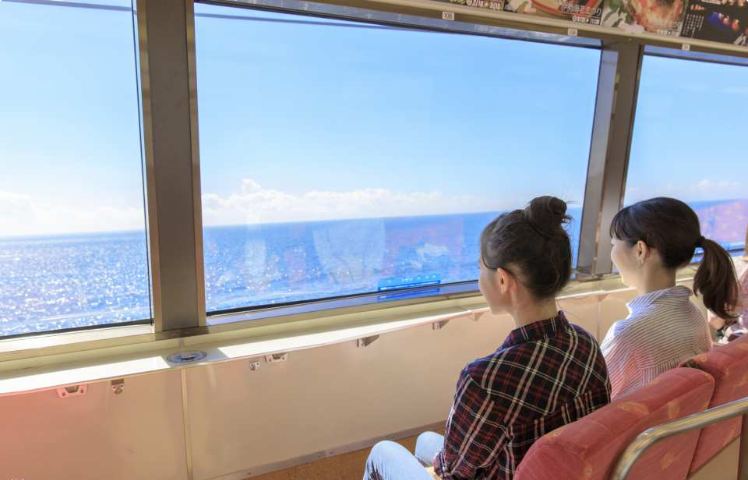 일본 이즈 급행선 1일 / 2일 / 3일 패스 | 즉시 확인 | 일본 이즈