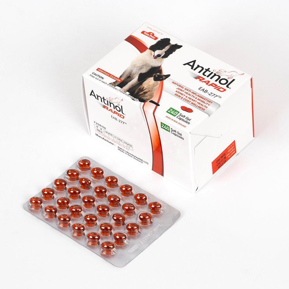 안티놀 래피드 강아지 고양이 관절 슬개골 영양제 관절건강, 240캡슐, 1개 대표 이미지