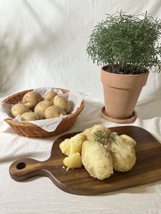 25년 감자 두백감자 수미 햇 분감자 3kg 5kg 10kg 20kg