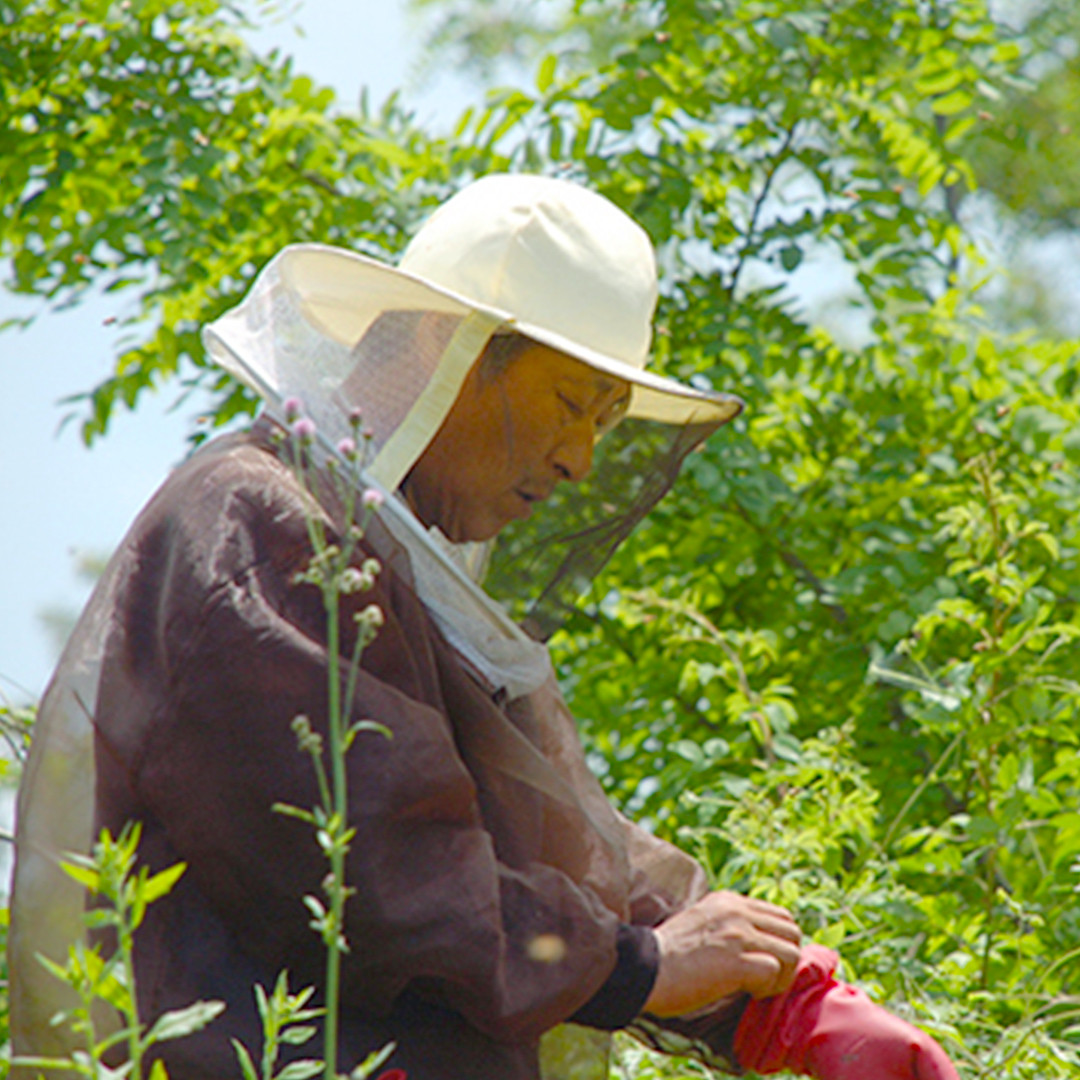 국내산 천연 아카시아 벌꿀 1kg 튜브형 상세 이미지 4