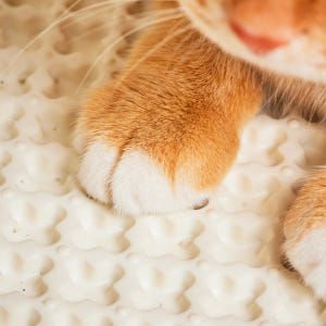 [세트] 3651 이지클린 고양이 모래매트 화장실 사막화 방지 L 2개입 솔직 후기 | 실제 사용자 리뷰 총정리 - 상품 이미지 4