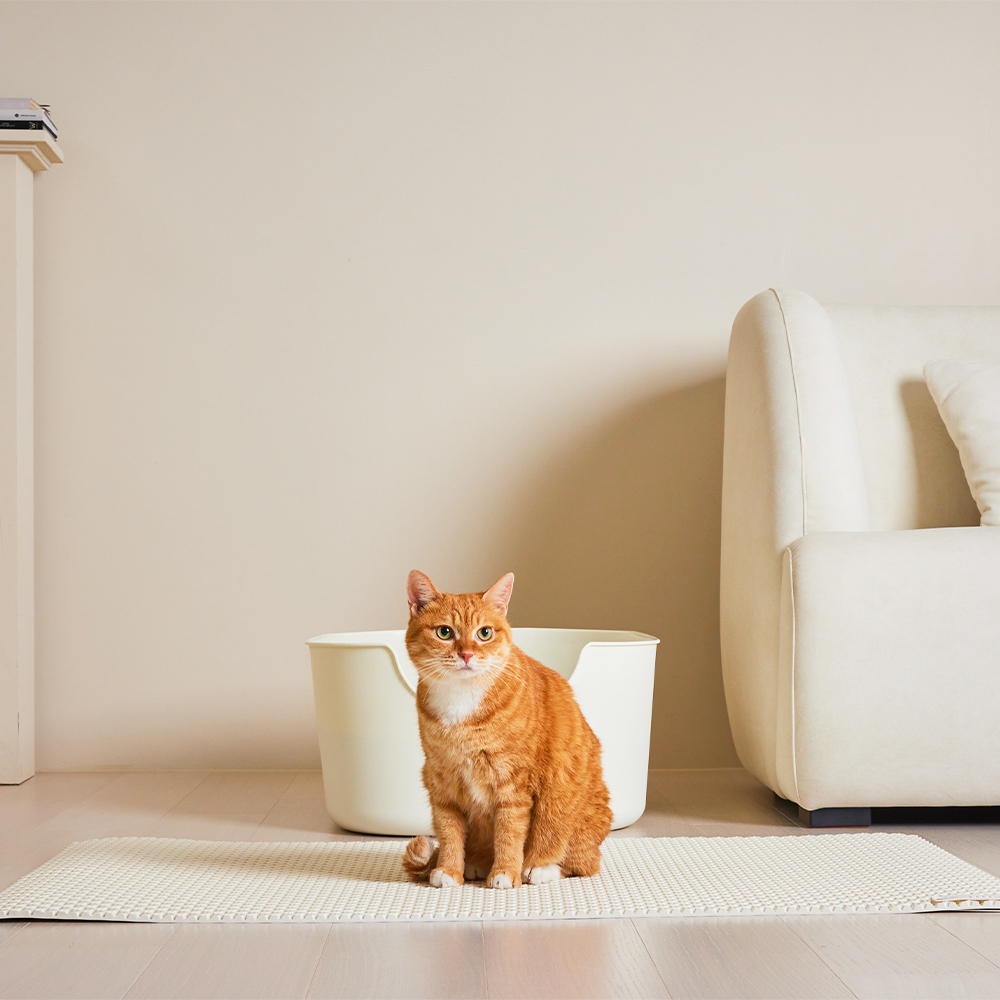 [세트] 3651 이지클린 고양이 모래매트 화장실 사막화 방지 L 2개입