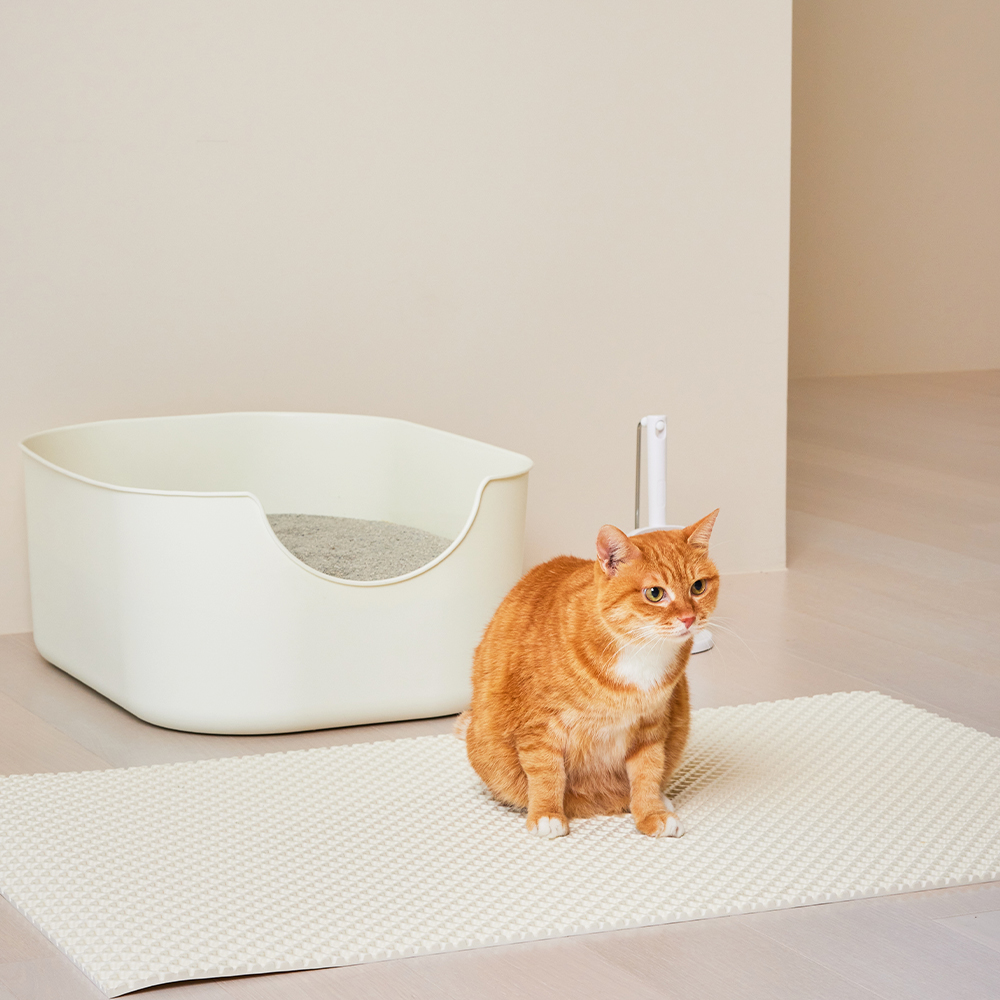 [세트] 3651 이지클린 고양이 모래매트 화장실 사막화 방지 L 2개입