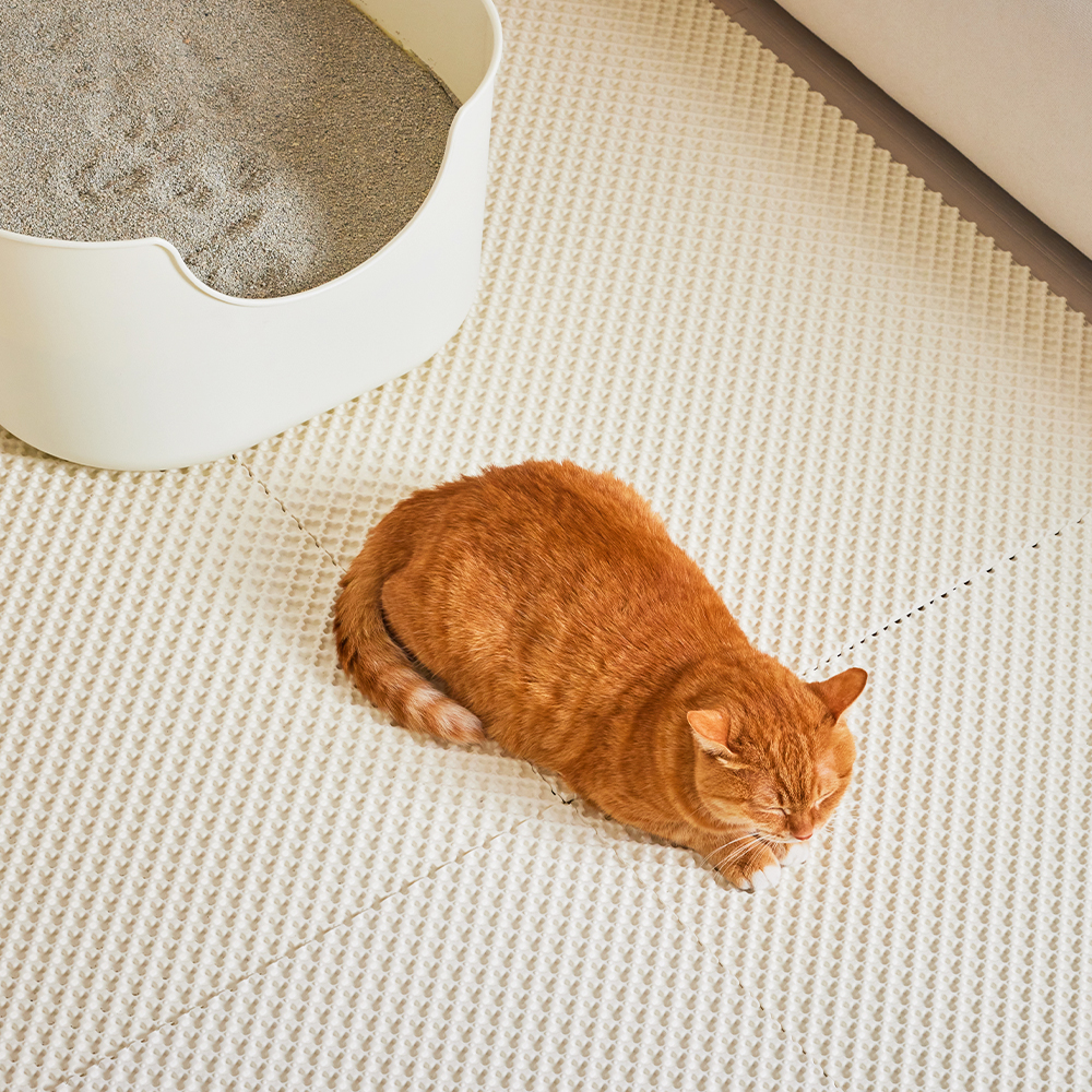 [세트] 3651 이지클린 고양이 모래매트 화장실 사막화 방지 L 2개입