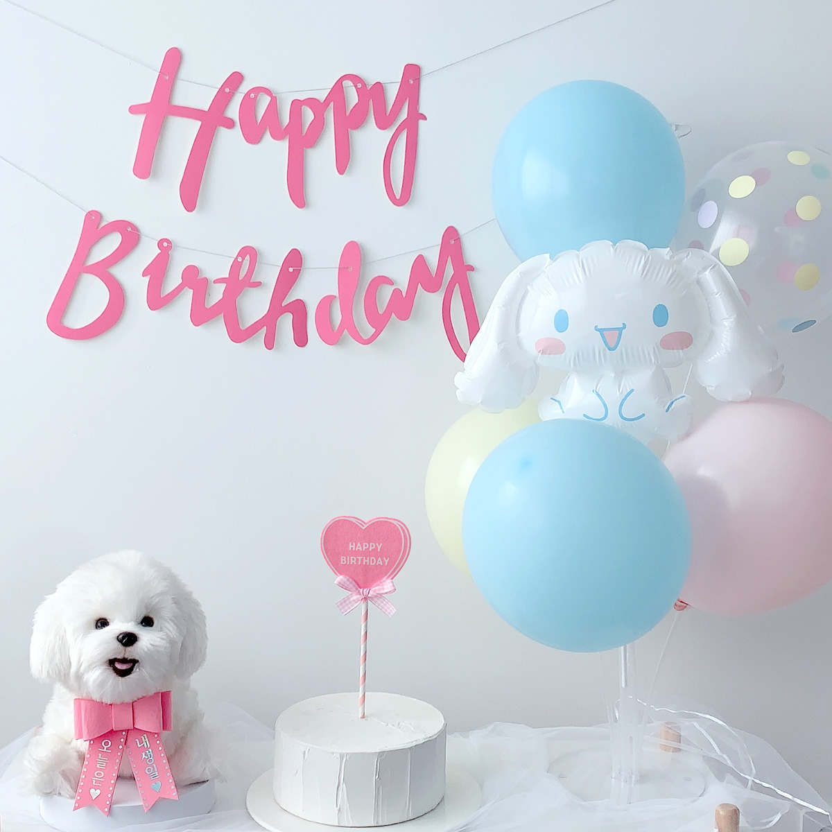 시나모롤풍선 강아지 고양이 생일파티세트 - 상세 이미지 2