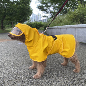 쭈쭈야 강아지 우비 레인코트 비옷 M 판초 강아지옷 솔직 후기 | 실제 사용자 리뷰 총정리 - 상품 이미지 4