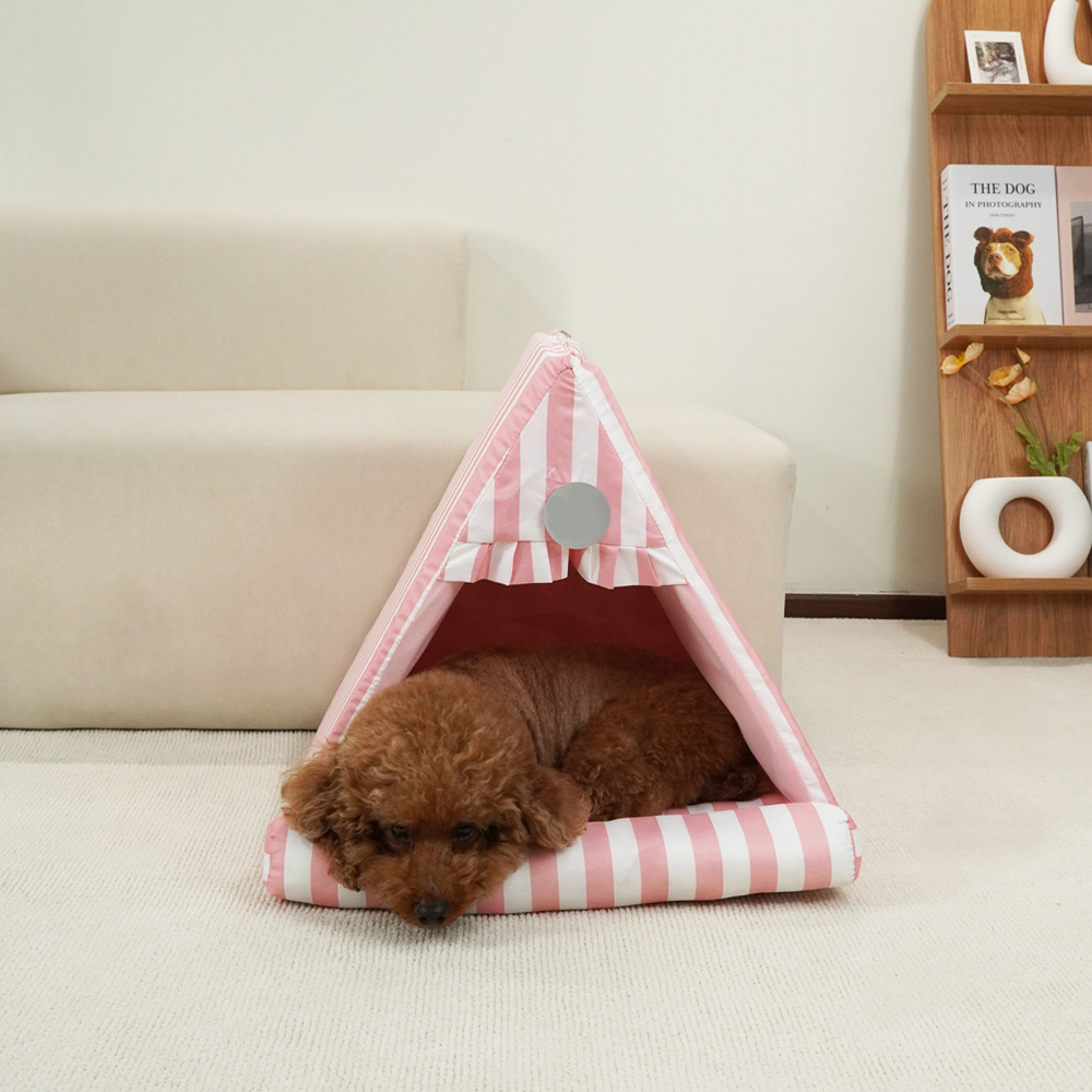 개과천선 스타 삼각 하우스 사계절 강아지 하우스 고양이 집 텐트 숨숨집 내부쿠션 포함 이미지 6