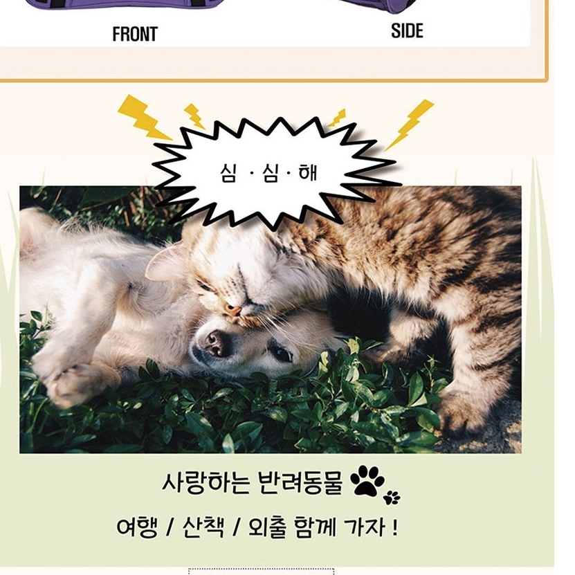 여름용 강아지 산책 가방 기내 기내용 케이지 강아지 비행기 가방 - 상세 이미지 4