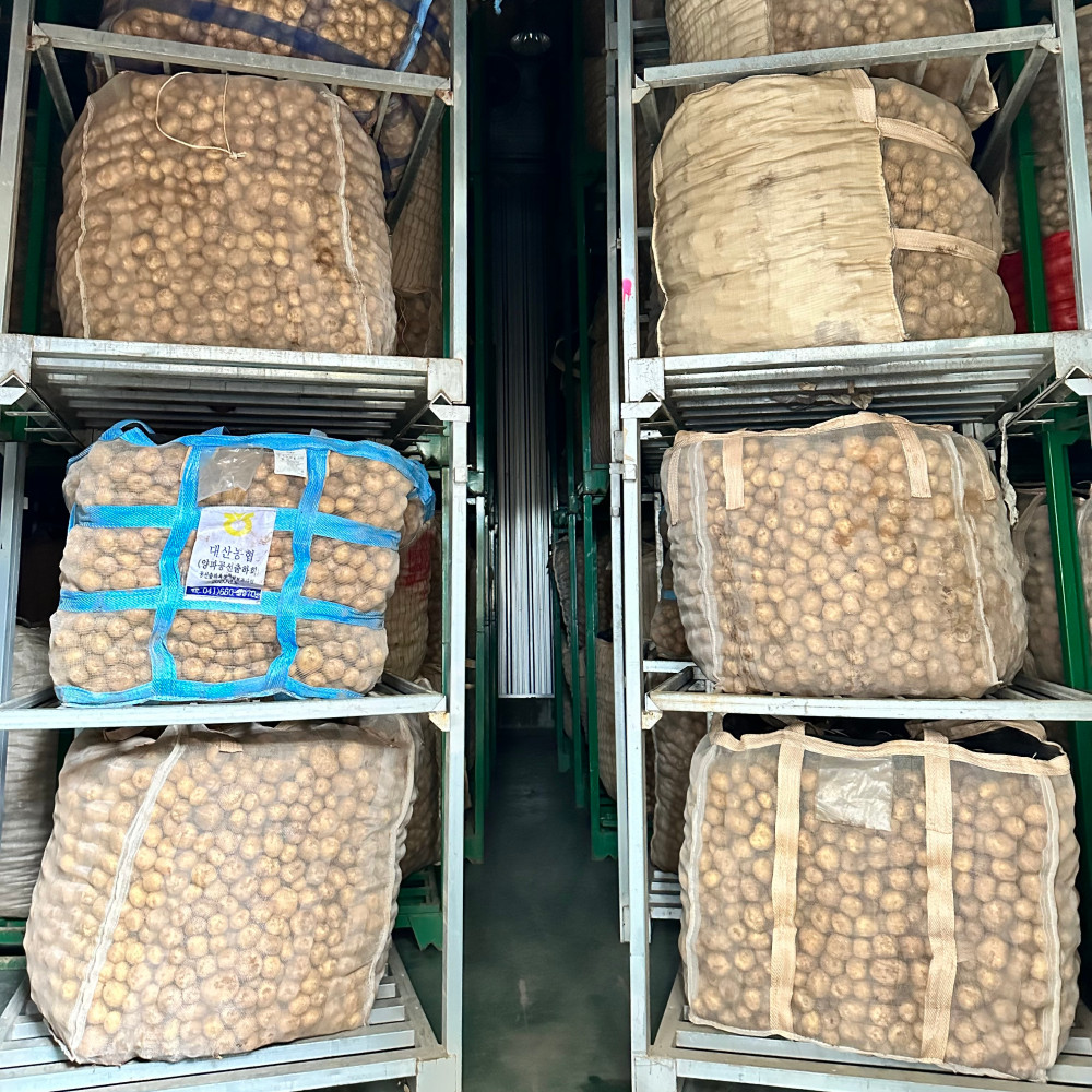 25년 감자 두백감자 수미 햇 분감자 3kg 5kg 10kg 20kg