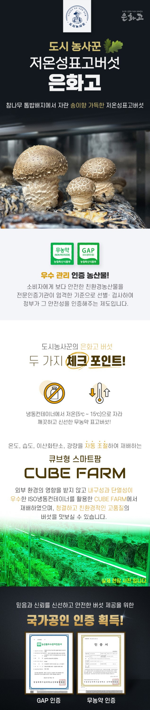 은화고 C프리미엄세트 저온성표고버섯 은화고 700g + 건버섯 200g 선물세트