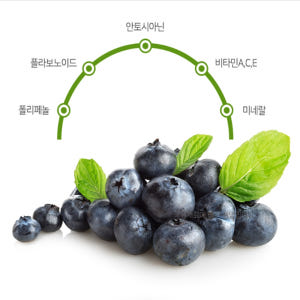 빌베리 농축 분말 가루 1kg 효능 맛있게 먹은 솔직 후기 - 상품 이미지 4