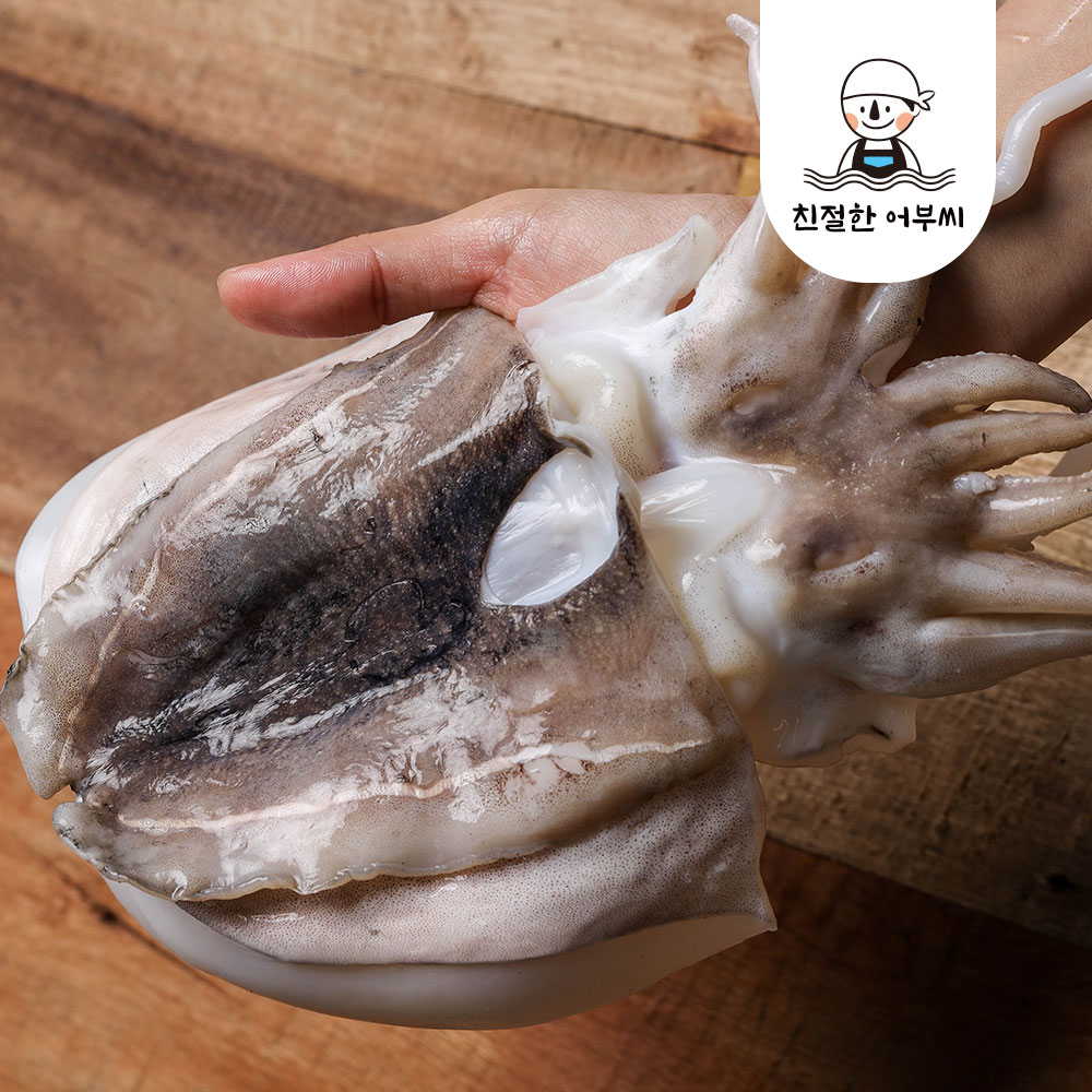 손질 활 갑오징어 냉동 갑오징어볶음 구이 숙회 2kg 3kg 친절한어부씨 이미지 2