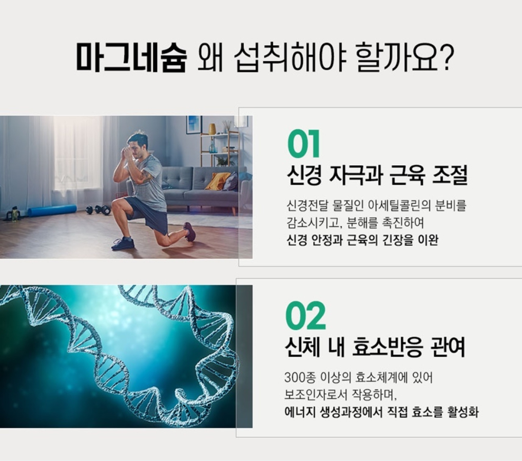 신경엔 마그네슘 산화 마그네슘 정 영양제 마그네슘 약 이미지 3