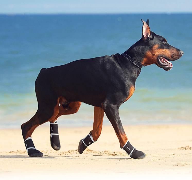 위드레오 강아지신발 라텍스 대형견신발 강아지부츠 미끄럼방지 방수 이중벨크로 4pcs XS