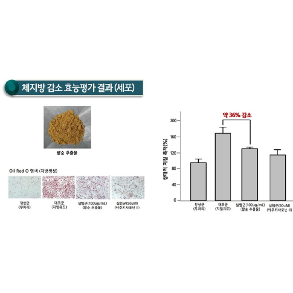 팥순 팥순추출물 참선진녹즙 100ml x30포 - 상세 이미지 2
