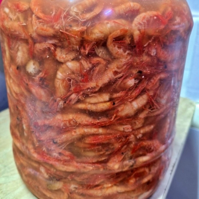 대용량 새우젓 김장 새우젓 5kg 김장용 새우젓 5키로 국산 북새우젓