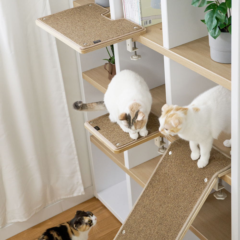 요기펫 고양이 선반 해먹 캣워커 캣선반 Small