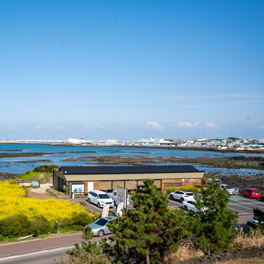 제주 보말죽 제주도 서귀포 성산봄죽 밀키트 3개 이미지 7