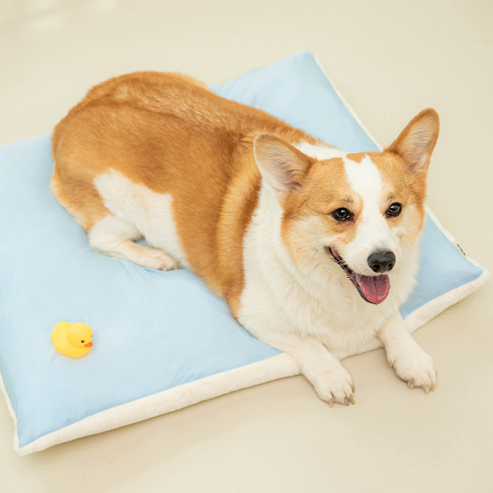 펫트리움 사계절 양면방석 강아지 고양이 방석 쿠션  커버분리가능 - 상세 이미지 3