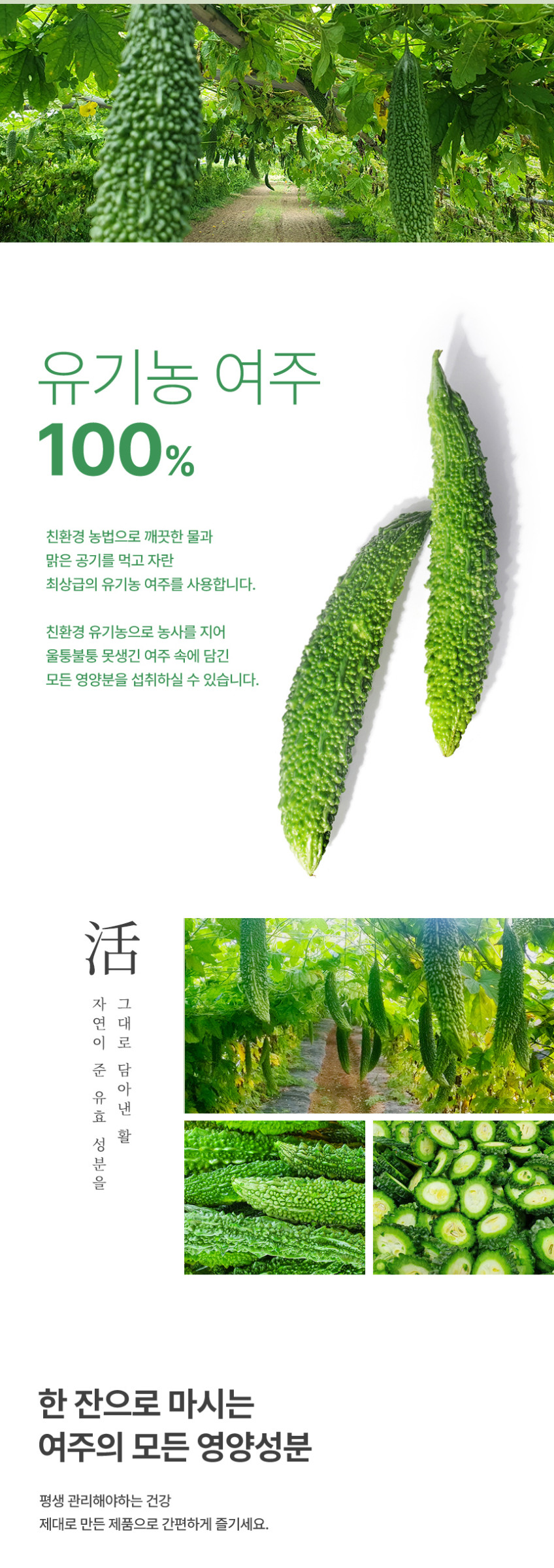 참유원 친환경 유기농 여주즙 100팩 판매처 상세 정보 이미지 4