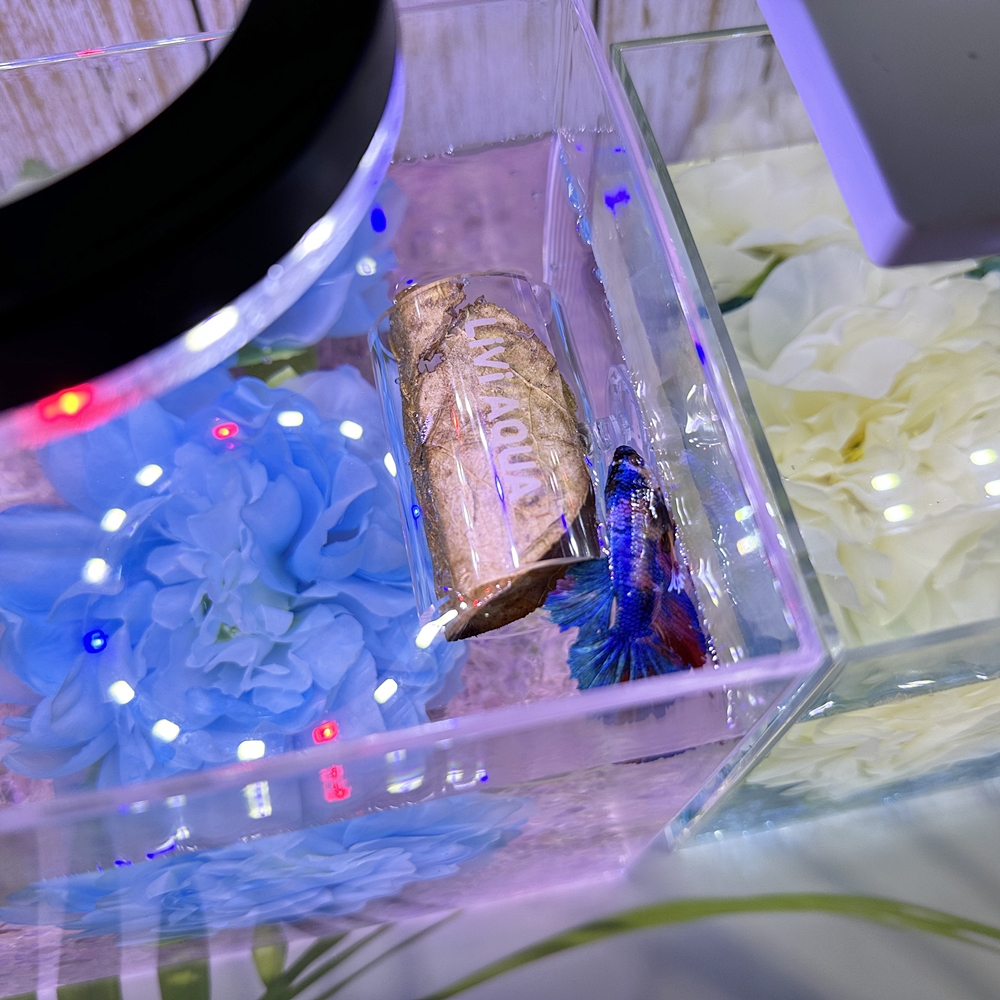 베타키우기 꽃침대 터널 플라스틱 미니어항세트 베타어항 이미지 6