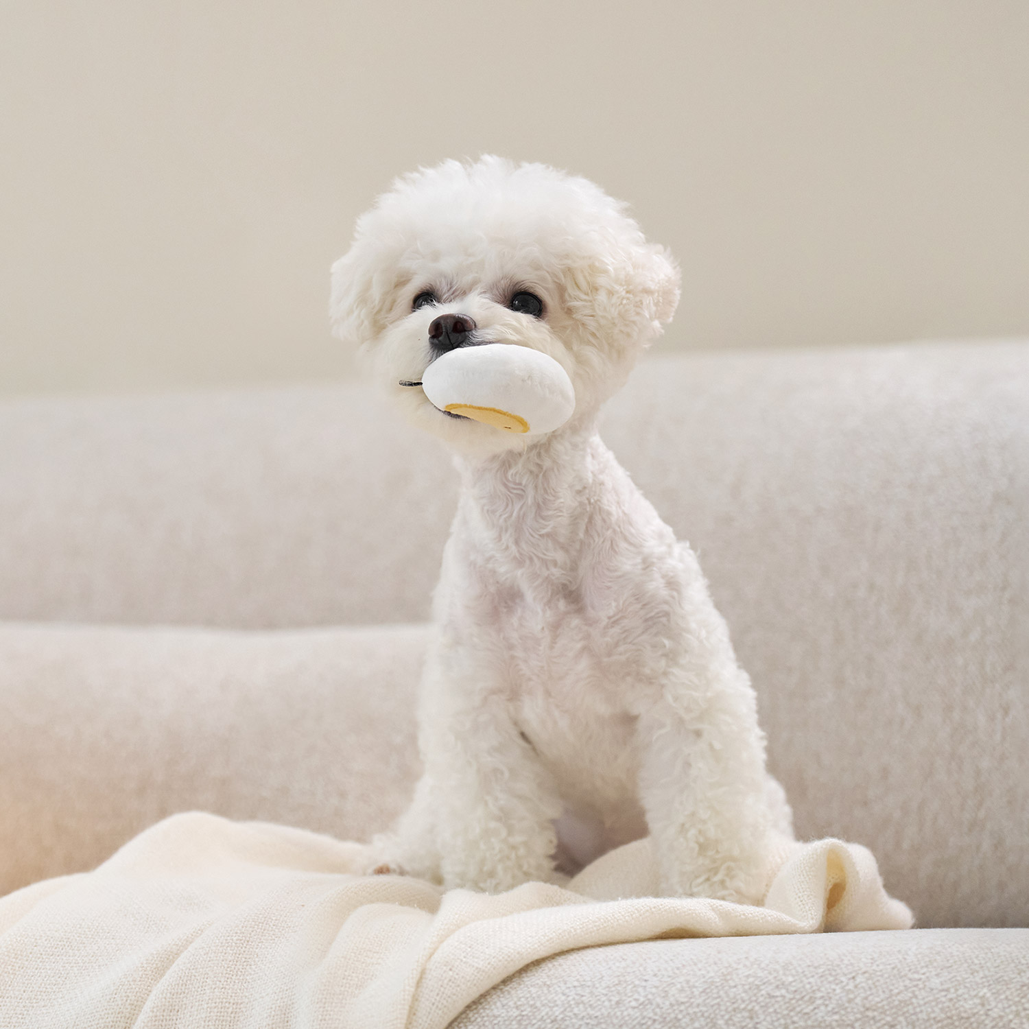 울리 찐 간식 강아지 장난감 세트 삑삑이 바스락 인형