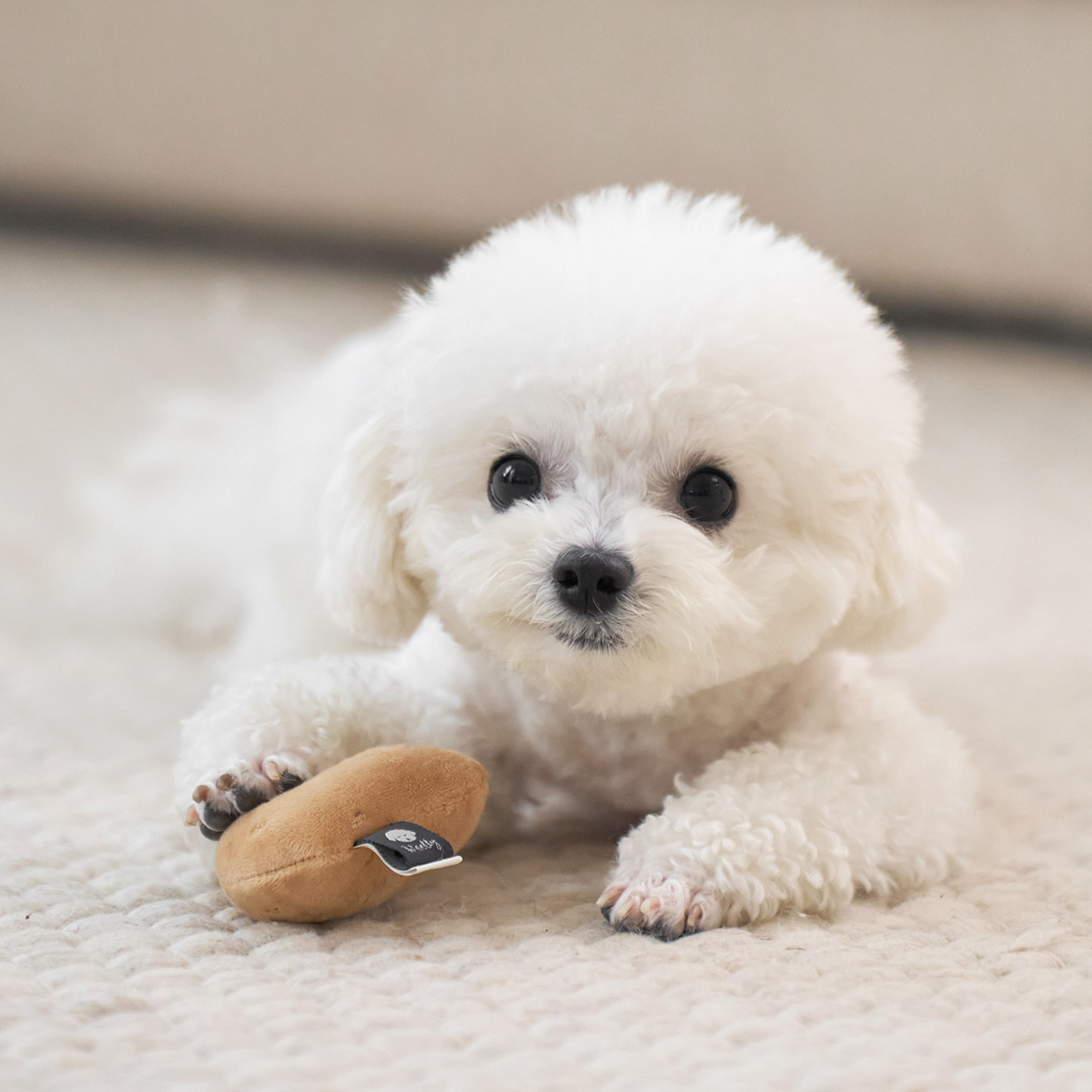 울리 찐 간식 강아지 장난감 세트 삑삑이 바스락 인형