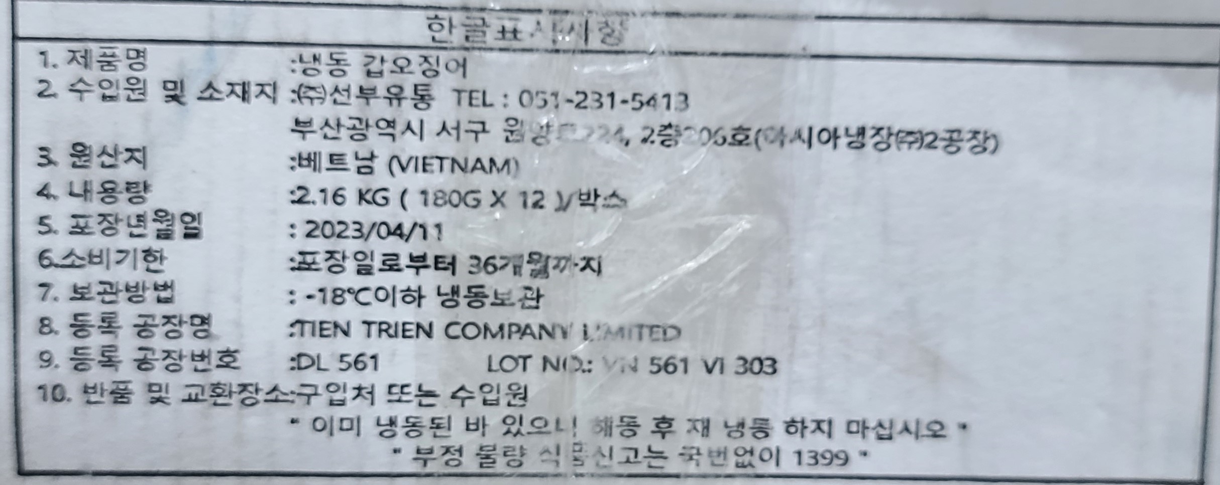 베이비 갑오징어 미니갑오징어 6미 - 상세 이미지 3