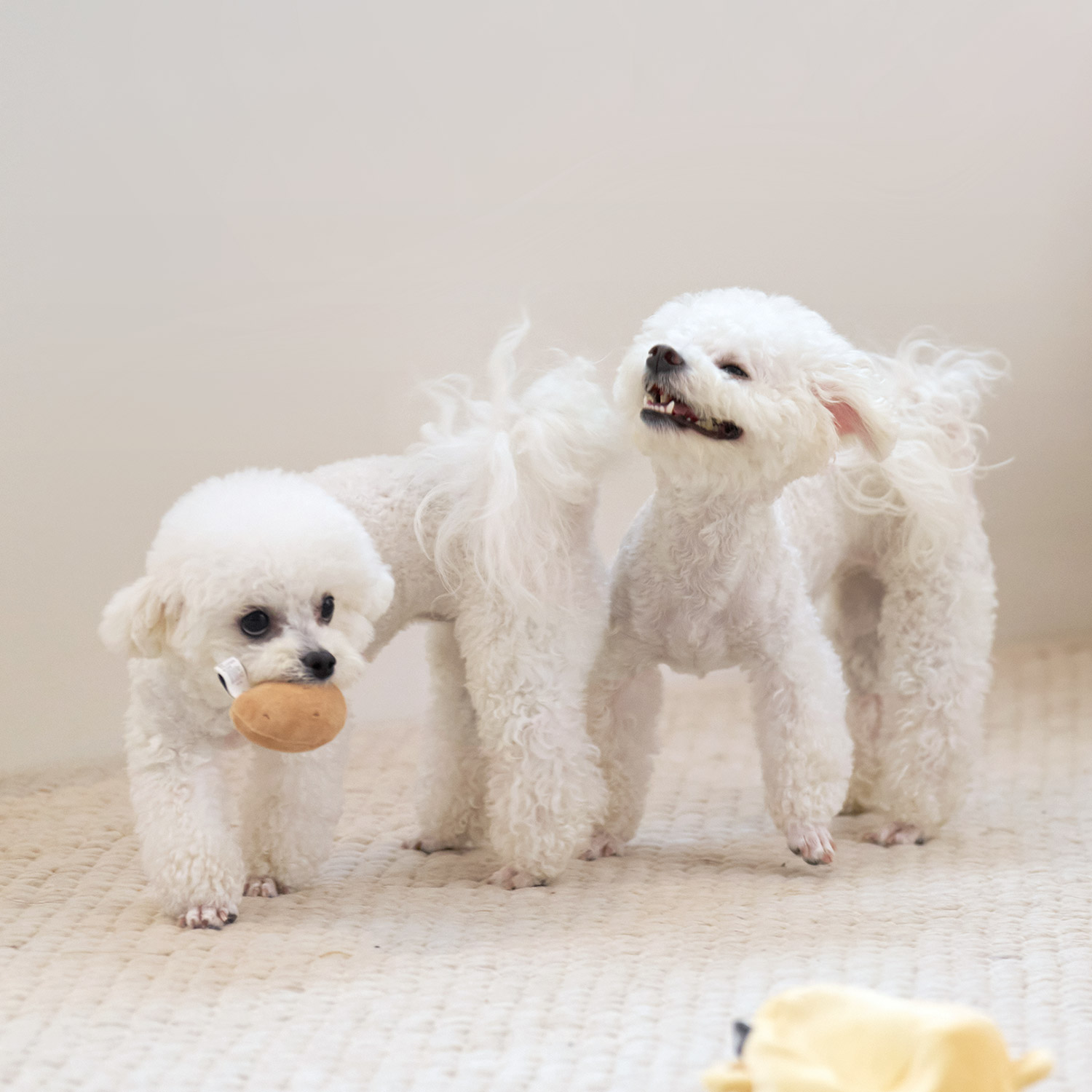 울리 찐 간식 강아지 장난감 세트 삑삑이 바스락 인형