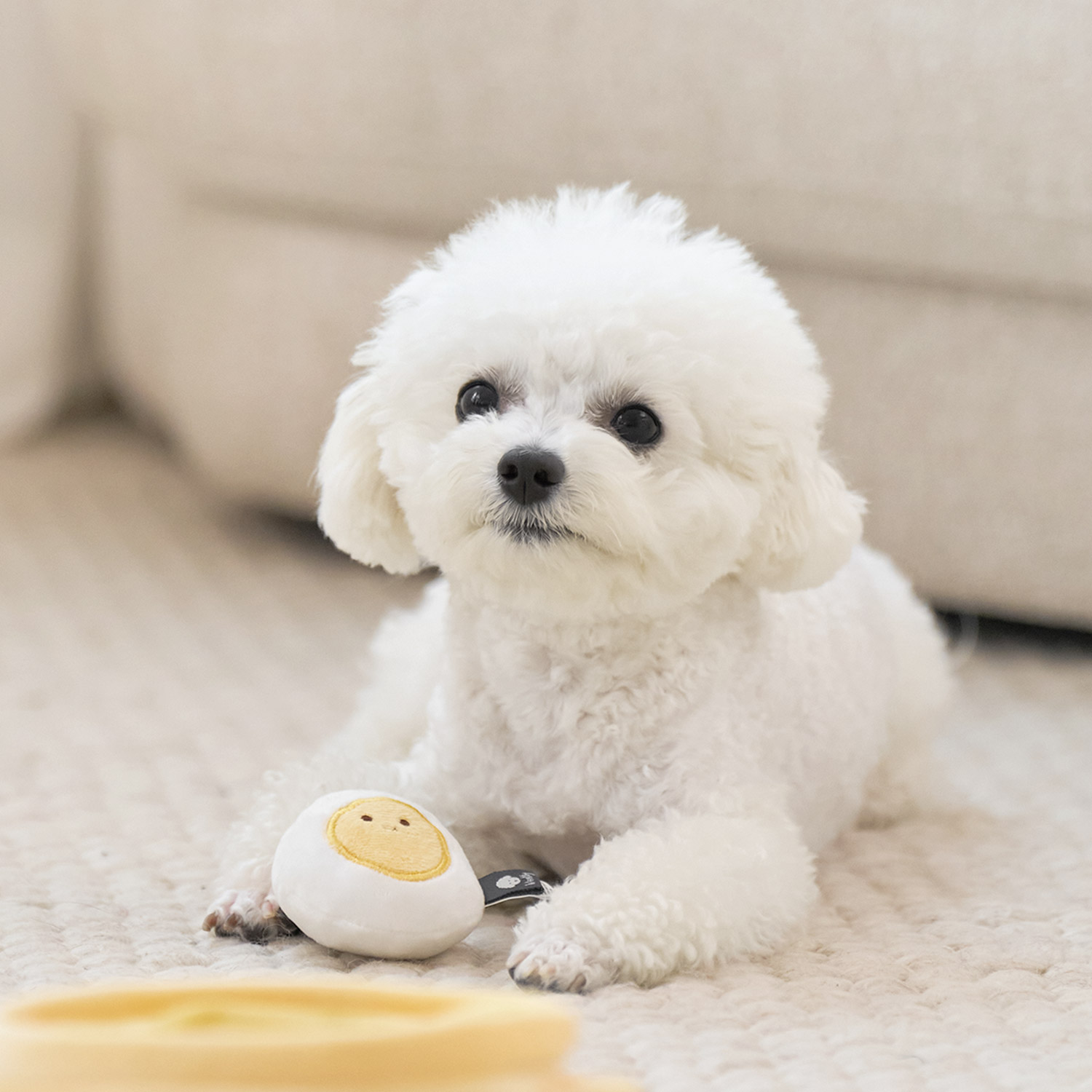 울리 찐 간식 강아지 장난감 세트 삑삑이 바스락 인형
