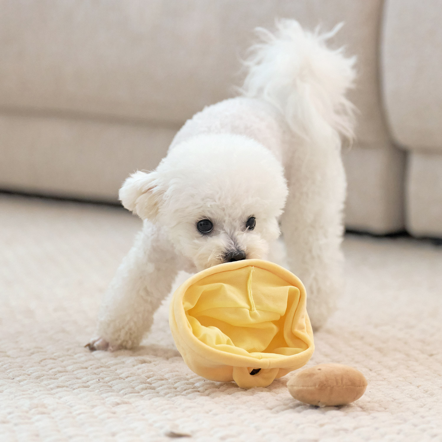 울리 찐 간식 강아지 장난감 세트 삑삑이 바스락 인형