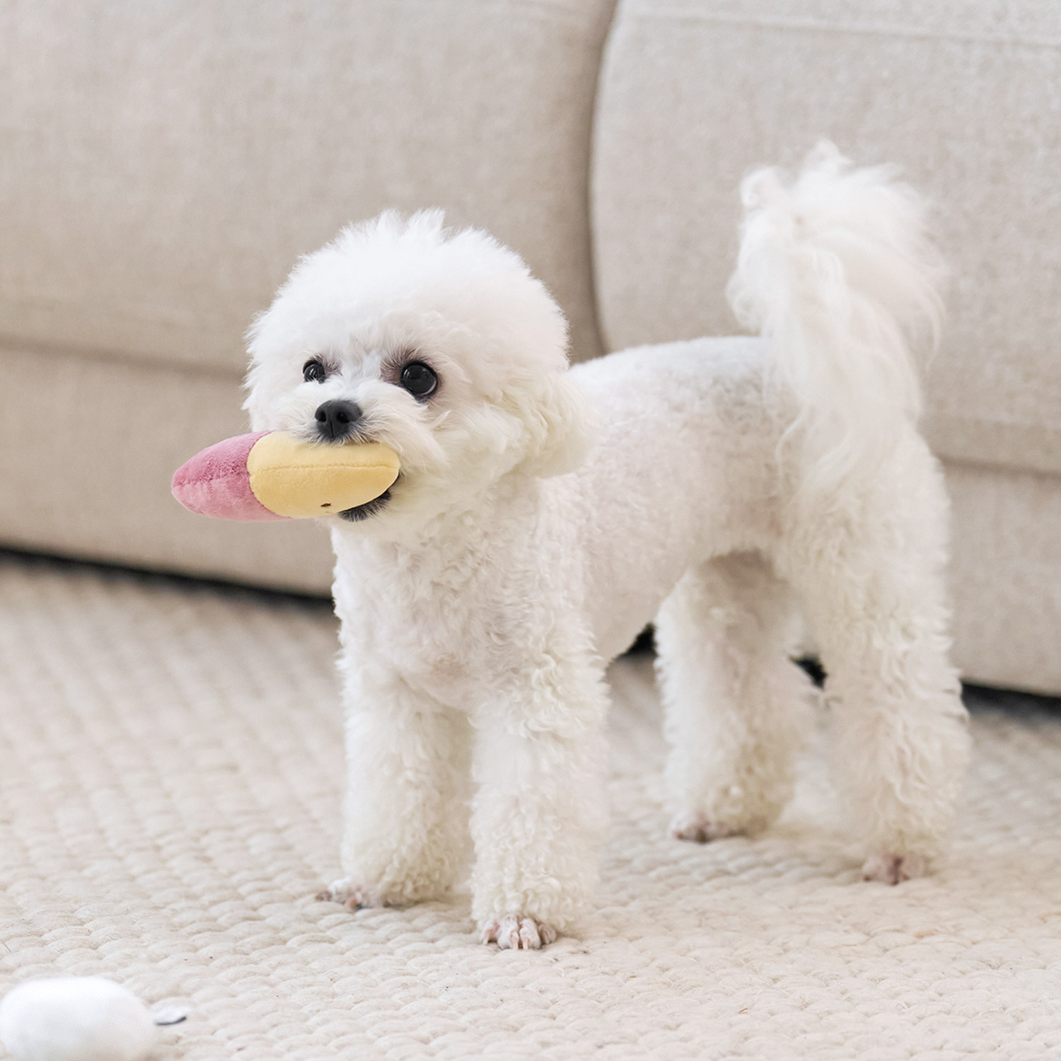 울리 찐 간식 강아지 장난감 세트 삑삑이 바스락 인형