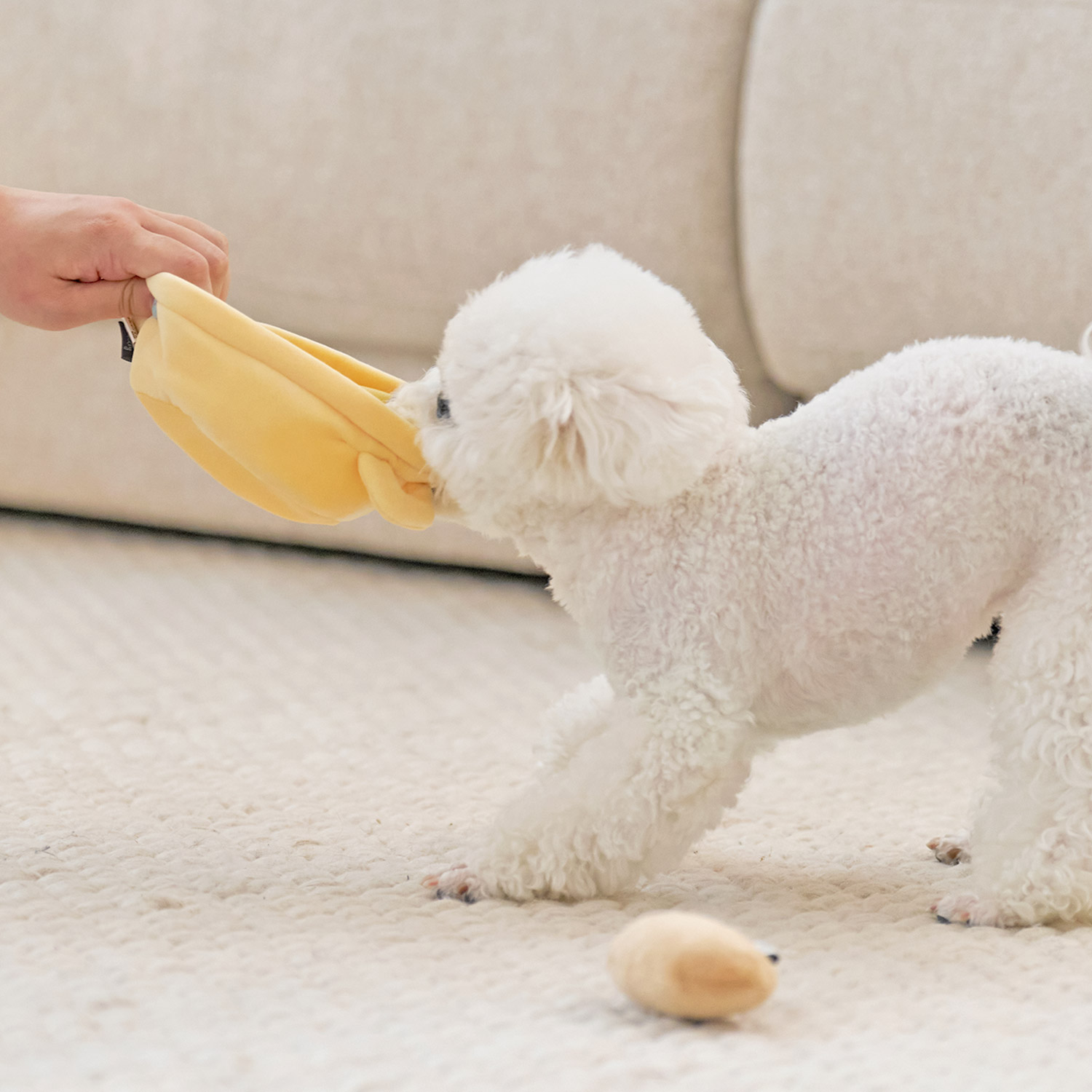 울리 찐 간식 강아지 장난감 세트 삑삑이 바스락 인형