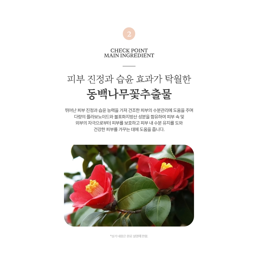 셀비아 리커버리 자외선차단 쿠션 2세대 이미지 6